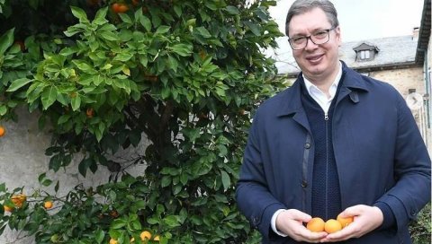 ДО САДА НЕВИЂЕНИ СНИМЦИ НАЈВЕЋЕ СРПСКЕ СВЕТИЊЕ: Вечерас документарац о Вучићевој посети Светој Гори ДО САДА НЕВИЂЕНИ СНИМЦИ НАЈВЕЋЕ СРПСКЕ СВЕТИЊЕ: Вечерас документарац о Вучићевој посети Светој Гори