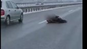 ТУЖНО: Иза шокантног призора на ауто-путу се крије тешка прича, ево зашто је човек лежао на коловозу (ВИДЕО)
