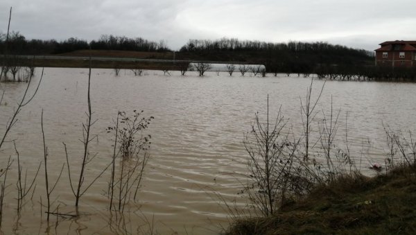 ДРАМАТИЧНЕ СЦЕНЕ, ЊИВЕ СЕ НЕ ВИДЕ ОД ВОДЕ: Тешка ситуација код Бујановца, нема оранице која није поплављена (ФОТО/ВИДЕО) ДРАМАТИЧНЕ СЦЕНЕ, ЊИВЕ СЕ НЕ ВИДЕ ОД ВОДЕ: Тешка ситуација код Бујановца, нема оранице која није поплављена (ФОТО/ВИДЕО)