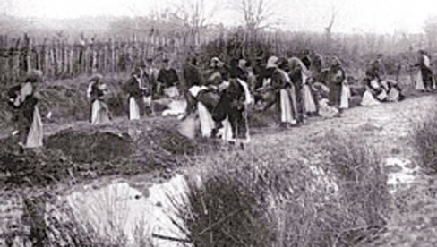 DIVLJAŠTVA VOJSKE CARA FRANJE: Ne vidi se ništa drugo sem izgorelih kuća i zajedničkih grobova DIVLJAŠTVA VOJSKE CARA FRANJE: Ne vidi se ništa drugo sem izgorelih kuća i zajedničkih grobova