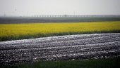 UPRAVA ZA POLJOPRIVREDNO ZEMLJIŠTE: U zakup više od 5.000 zaparloženih oranica UPRAVA ZA POLJOPRIVREDNO ZEMLJIŠTE: U zakup više od 5.000 zaparloženih oranica