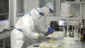 НОВОСТИ САЗНАЈУ: У Србији није потврђено присуство бразилског соја короне НОВОСТИ САЗНАЈУ: У Србији није потврђено присуство бразилског соја короне