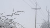 МНОГО ПОКИДАНИХ ВОДОВА: Виши делови Власотинца и даље без струје