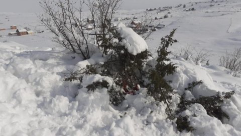 ЗАПУЦАО ЧИМ СУ МУ ОТВОРИЛИ ВРАТА: Нови детаљи незапамћеног злочина у сјеничком селу Расно који је извршио Енедин Турковић ЗАПУЦАО ЧИМ СУ МУ ОТВОРИЛИ ВРАТА: Нови детаљи незапамћеног злочина у сјеничком селу Расно који је извршио Енедин Турковић