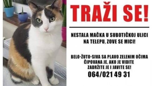 ТРАЖИ СЕ МИЦИ! Власник мачке нестале на Телепу нуди чак 150.000 динара налазачу (ФОТО) ТРАЖИ СЕ МИЦИ! Власник мачке нестале на Телепу нуди чак 150.000 динара налазачу (ФОТО)