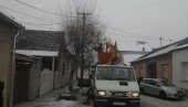 ДА ГРАЂАНИ НЕ ОСТАЈУ БЕЗ СТРУЈЕ: Комуналци орезали спорне крошње у у Вршцу ДА ГРАЂАНИ НЕ ОСТАЈУ БЕЗ СТРУЈЕ: Комуналци орезали спорне крошње у у Вршцу