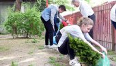 ДРВО ЗА БЕОГРАД И ЗА ЧИСТ ВАЗДУХ: При крају нацрти планова за зелени град и одрживу климу и енергију, који ће бити представљени у марту