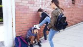 UŽAS U PODGORICI: Trojica maloletnika tukla vršnjaka čekićem za meso UŽAS U PODGORICI: Trojica maloletnika tukla vršnjaka čekićem za meso