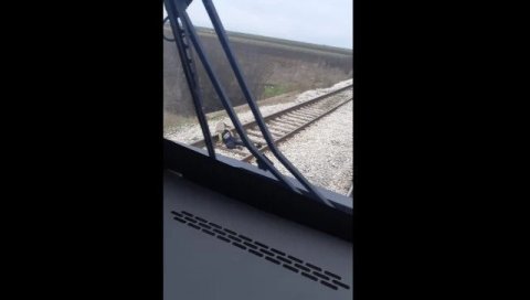 ШТА ТО РАДИШ, ЦРНО ДЕТЕ?! Језива сцена близу Сремске Митровице! ШТА ТО РАДИШ, ЦРНО ДЕТЕ?! Језива сцена близу Сремске Митровице!