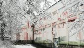 НАЈВЕЋИ МУРАЛ У СРБИЈИ: Мештани Ресавице поносни