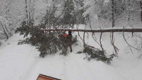 PROGLAŠENA VANREDNA SITUACIJA: Zbog snega u Crnoj Travi opština ostala bez struje PROGLAŠENA VANREDNA SITUACIJA: Zbog snega u Crnoj Travi opština ostala bez struje