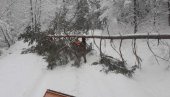 ПРОГЛАШЕНА ВАНРЕДНА СИТУАЦИЈА: Због снега у Црној Трави општина остала без струје ПРОГЛАШЕНА ВАНРЕДНА СИТУАЦИЈА: Због снега у Црној Трави општина остала без струје