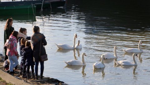 УСКОРО СЕ ВРАЋА ЛЕПО ВРЕМЕ: Детаљна временска прогноза - до краја месеца 20 степени УСКОРО СЕ ВРАЋА ЛЕПО ВРЕМЕ: Детаљна временска прогноза - до краја месеца 20 степени