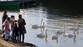 VIŠE SUNCA I 20 STEPENI: Meteorolog otkrio kada će se vreme prolepšati VIŠE SUNCA I 20 STEPENI: Meteorolog otkrio kada će se vreme prolepšati