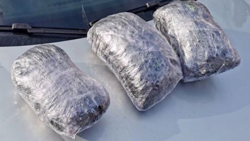 У КОЛИМА 2,6 КИЛОГРАМА МАРИХУАНЕ: Новосадска полиција ухапсила Н.Р. (25) из Кикинде осумњиченог нелегалну трговину дрогом У КОЛИМА 2,6 КИЛОГРАМА МАРИХУАНЕ: Новосадска полиција ухапсила Н.Р. (25) из Кикинде осумњиченог нелегалну трговину дрогом