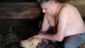 НАРОДНИ ПОСЛАНИК ОТЕЛИО КРАВУ: Ево какво ће име да носи теле (ВИДЕО) НАРОДНИ ПОСЛАНИК ОТЕЛИО КРАВУ: Ево какво ће име да носи теле (ВИДЕО)