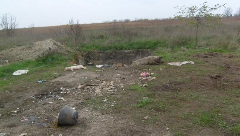 УЖАС У СУБОТИЦИ: Годинама крали месо са сточног гробља, па продавали угинуле животиње УЖАС У СУБОТИЦИ: Годинама крали месо са сточног гробља, па продавали угинуле животиње