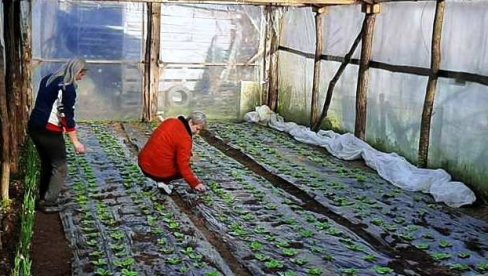 ZA VEĆU PROIZVODNJU EKOLOŠKI ZDRAVOG POVRĆA: Uručeno 25 plastenika porodicama u Modriči i Vukosavlju (FOTO) ZA VEĆU PROIZVODNJU EKOLOŠKI ZDRAVOG POVRĆA: Uručeno 25 plastenika porodicama u Modriči i Vukosavlju (FOTO)