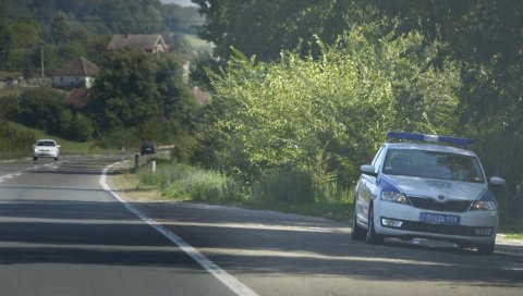 НА ИБАРСКОЈ ПУТАРИНА ЗА ТЕРЕТЊАКЕ: Дробњак открио колика ће бити цена НА ИБАРСКОЈ ПУТАРИНА ЗА ТЕРЕТЊАКЕ: Дробњак открио колика ће бити цена