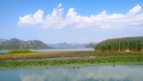 U NACIONALNOM PARKU SKADARSKO JEZERO, Ulaznice naplaćuju, a Centar za posetioce zatvoren