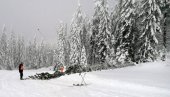 ZAKUCALI SE SANKAMA U DRVO I POGINULI NA LICU MESTA: Detalji stravične nesreće na Kopaoniku