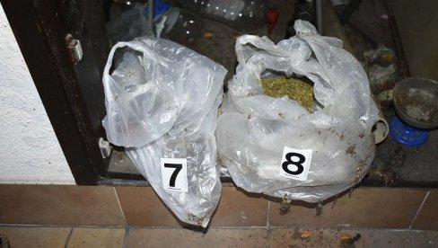 УЗГАЈАО МАРИХУАНУ У КУЋИ? У Пироту ухапшен мушкарац осумњичен за неовлашћену производњу и промет опојних дрога УЗГАЈАО МАРИХУАНУ У КУЋИ? У Пироту ухапшен мушкарац осумњичен за неовлашћену производњу и промет опојних дрога