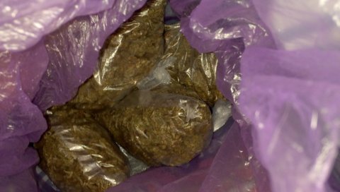 ДРОГА ПРОНАЂЕНА У СТАНУ: Ухапшен мушкарац из околине Вршца ДРОГА ПРОНАЂЕНА У СТАНУ: Ухапшен мушкарац из околине Вршца