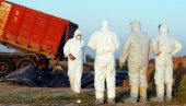 СЕДАМ ОСОБА ЗАРЕЖЕНО ПТИЧЈИМ ГРИПОМ: Вирус откривен на фарми у Русији, обавештена СЗО СЕДАМ ОСОБА ЗАРЕЖЕНО ПТИЧЈИМ ГРИПОМ: Вирус откривен на фарми у Русији, обавештена СЗО