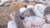 ЈЕЗИВ ПРИЗОР: Седам тона пилећих ногица истоварили у центар Сурчина и побегли ЈЕЗИВ ПРИЗОР: Седам тона пилећих ногица истоварили у центар Сурчина и побегли