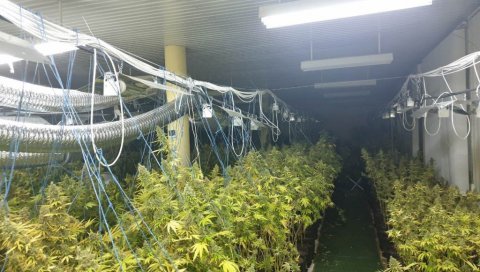 ПОТВРЂЕНА ПРЕСУДА У ПРЕДМЕТУ „УНИКАТ“: Шеранићу, Ђајићу и Трнинићу 15 година затвора ПОТВРЂЕНА ПРЕСУДА У ПРЕДМЕТУ „УНИКАТ“: Шеранићу, Ђајићу и Трнинићу 15 година затвора