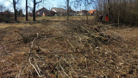 УРЕЂУЈУ СПОМЕН ПАРК: Почело пролећно сређивање Шумарица УРЕЂУЈУ СПОМЕН ПАРК: Почело пролећно сређивање Шумарица