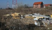 СВЕ ЈЕ РАЂЕНО У ТОКУ НОЋИ: Ево како су у Сурчину успели да баце толику количину пилећих ножица, а да их нико не види СВЕ ЈЕ РАЂЕНО У ТОКУ НОЋИ: Ево како су у Сурчину успели да баце толику количину пилећих ножица, а да их нико не види