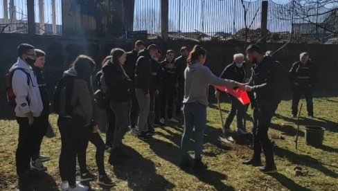 БАЛАШЕВИЋУ ЛИПА У ШКОЛСКОМ ДВОРИШТУ: Акција ђака у Беранама - да Ђолетови стихови живе и остављају траг БАЛАШЕВИЋУ ЛИПА У ШКОЛСКОМ ДВОРИШТУ: Акција ђака у Беранама - да Ђолетови стихови живе и остављају траг