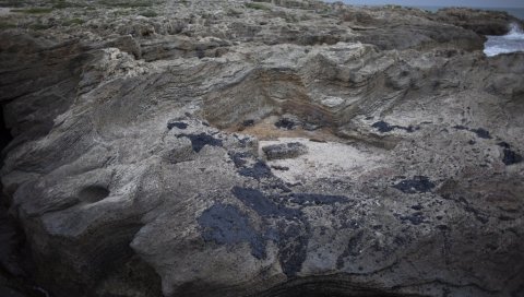 ЈЕДНА ОД НАЈГОРИХ ЕКОЛОШКИХ КАТАСТРОФА: Чишћење на источном Медитерану ће трајати годинама (ФОТО) ЈЕДНА ОД НАЈГОРИХ ЕКОЛОШКИХ КАТАСТРОФА: Чишћење на источном Медитерану ће трајати годинама (ФОТО)