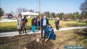 ZA LEPŠI I ZELENIJI ZRENJANIN: Sadnice javora ukrasile Bagljaš (FOTO) ZA LEPŠI I ZELENIJI ZRENJANIN: Sadnice javora ukrasile Bagljaš (FOTO)