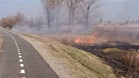 АПЕЛИ УРОДИЛИ ПЛОДОМ: У јужном Банату мање пољских пожара