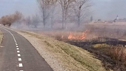 TRAGEDIJA U BOSILEGRADU: Čovek stradao na njivi