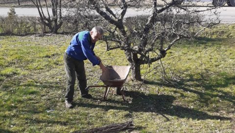 КОЛАЧАРЕ РАЂАЈУ КАО ЧИЧАК: Почела резидба воћа у Јадру, мајстори из Руњана имају пуне руке посла (ФОТО) КОЛАЧАРЕ РАЂАЈУ КАО ЧИЧАК: Почела резидба воћа у Јадру, мајстори из Руњана имају пуне руке посла (ФОТО)