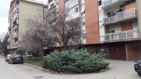 УБИЦА И ЖРТВА ЖИВЕЛИ ЗАЈЕДНО? Детаљи бруталног обрачуна у Борчи УБИЦА И ЖРТВА ЖИВЕЛИ ЗАЈЕДНО? Детаљи бруталног обрачуна у Борчи