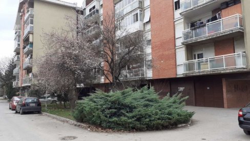 UBICA I ŽRTVA ŽIVELI ZAJEDNO? Detalji brutalnog obračuna u Borči UBICA I ŽRTVA ŽIVELI ZAJEDNO? Detalji brutalnog obračuna u Borči