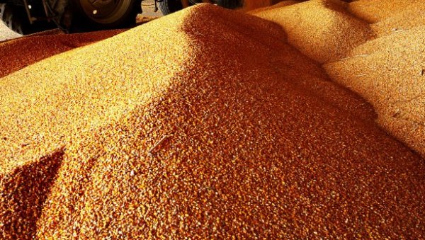 ТРНОВИТ ПУТ КУКУРУЗА ДО ИРАНА: Због америчких санкција Србија има проблем да извози и тргује са арапском земљом ТРНОВИТ ПУТ КУКУРУЗА ДО ИРАНА: Због америчких санкција Србија има проблем да извози и тргује са арапском земљом