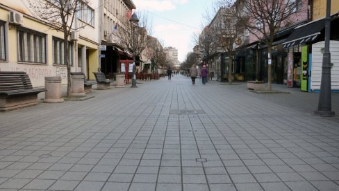 ЗАСАДИ СВОЈ ХЛАД: Подела бесплатних садница у Смедереву ЗАСАДИ СВОЈ ХЛАД: Подела бесплатних садница у Смедереву