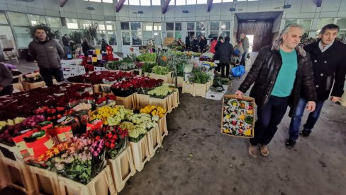 RUŽA 150, BUKET 1.000 DINARA: Beograđani juče pohrlili na prestoničku pijacu cveća u Krnjači uoči Međunarodnog dana žena 8. marta RUŽA 150, BUKET 1.000 DINARA: Beograđani juče pohrlili na prestoničku pijacu cveća u Krnjači uoči Međunarodnog dana žena 8. marta