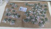 49 ПАКЕТА ДРОГЕ У КРОШЊИ ДРВЕТА: Ухапшен мушкарац у Београду, марихуану крио на Звездари 49 ПАКЕТА ДРОГЕ У КРОШЊИ ДРВЕТА: Ухапшен мушкарац у Београду, марихуану крио на Звездари