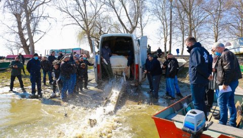 ПОРИБЉАВАЊЕ НА ВОДАМА ВОЈВОДИНЕ: У Дунав пуштено 800 килограма млађи шарана ПОРИБЉАВАЊЕ НА ВОДАМА ВОЈВОДИНЕ: У Дунав пуштено 800 килограма млађи шарана