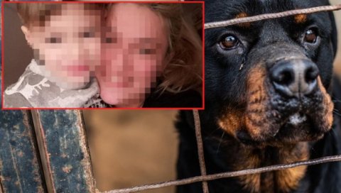 ЈЕЗИВИ ДЕТАЉИ УЖАСНЕ ТРАГЕДИЈЕ У СЕНТИ: Познато због чега је мајка држала ротвајлере који су растргли њеног сина ЈЕЗИВИ ДЕТАЉИ УЖАСНЕ ТРАГЕДИЈЕ У СЕНТИ: Познато због чега је мајка држала ротвајлере који су растргли њеног сина