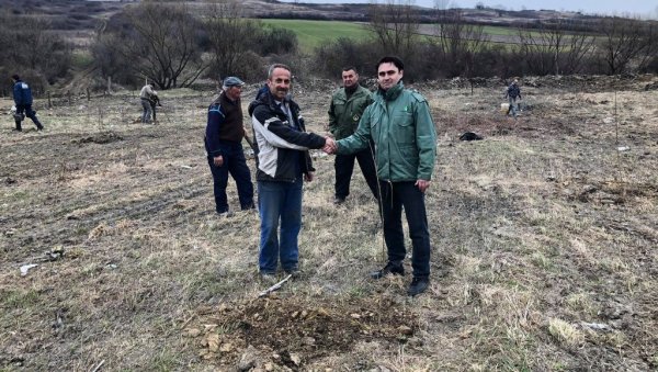 ПОСАДИЛИ ВИШЕ ОД 100 ТОПОЛА: На месту дивље депоније у вршачком селу Марковац ниче парк ПОСАДИЛИ ВИШЕ ОД 100 ТОПОЛА: На месту дивље депоније у вршачком селу Марковац ниче парк