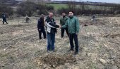 ПОСАДИЛИ ВИШЕ ОД 100 ТОПОЛА: На месту дивље депоније у вршачком селу Марковац ниче парк ПОСАДИЛИ ВИШЕ ОД 100 ТОПОЛА: На месту дивље депоније у вршачком селу Марковац ниче парк