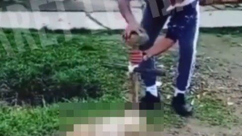 (UZNEMIRUJUĆI VIDEO) UŽASAN SNIMAK IZ VOJVODINE: Monstrum prilazi nepomičnom psu sa krstom u rukama, a onda kreće manijakalno iživljavanje (UZNEMIRUJUĆI VIDEO) UŽASAN SNIMAK IZ VOJVODINE: Monstrum prilazi nepomičnom psu sa krstom u rukama, a onda kreće manijakalno iživljavanje