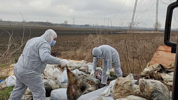УКЛОНИЛИ ДВЕ ТОНЕ КОСТИЈУ И ЦРЕВА: Екипе Ветерине однеле вреће са животињским остацима из обреновачког насеља Младост УКЛОНИЛИ ДВЕ ТОНЕ КОСТИЈУ И ЦРЕВА: Екипе Ветерине однеле вреће са животињским остацима из обреновачког насеља Младост
